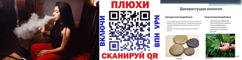 ГАШ Premium  Краснодар 