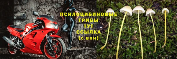 мяу мяу мука Арсеньев